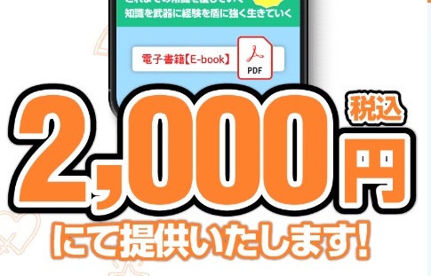 株式会社1の「写真を選んで安定した収益を」について