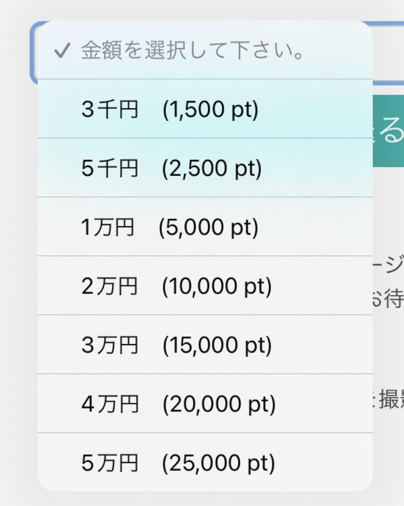 ポイント購入は3,000円から